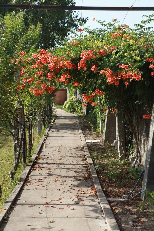 Quinta De Santo Antonio Villa Muro Екстериор снимка